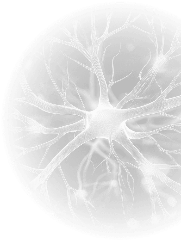 java brain science